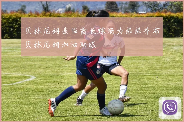 贝林厄姆亲临酋长球场为弟弟乔布贝林厄姆加油助威